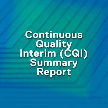 Continuous Quality Interim (CQI) Summary Report